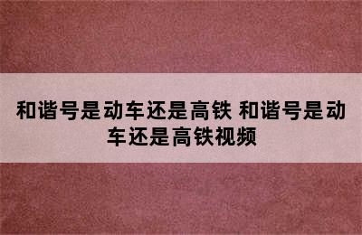 和谐号是动车还是高铁 和谐号是动车还是高铁视频